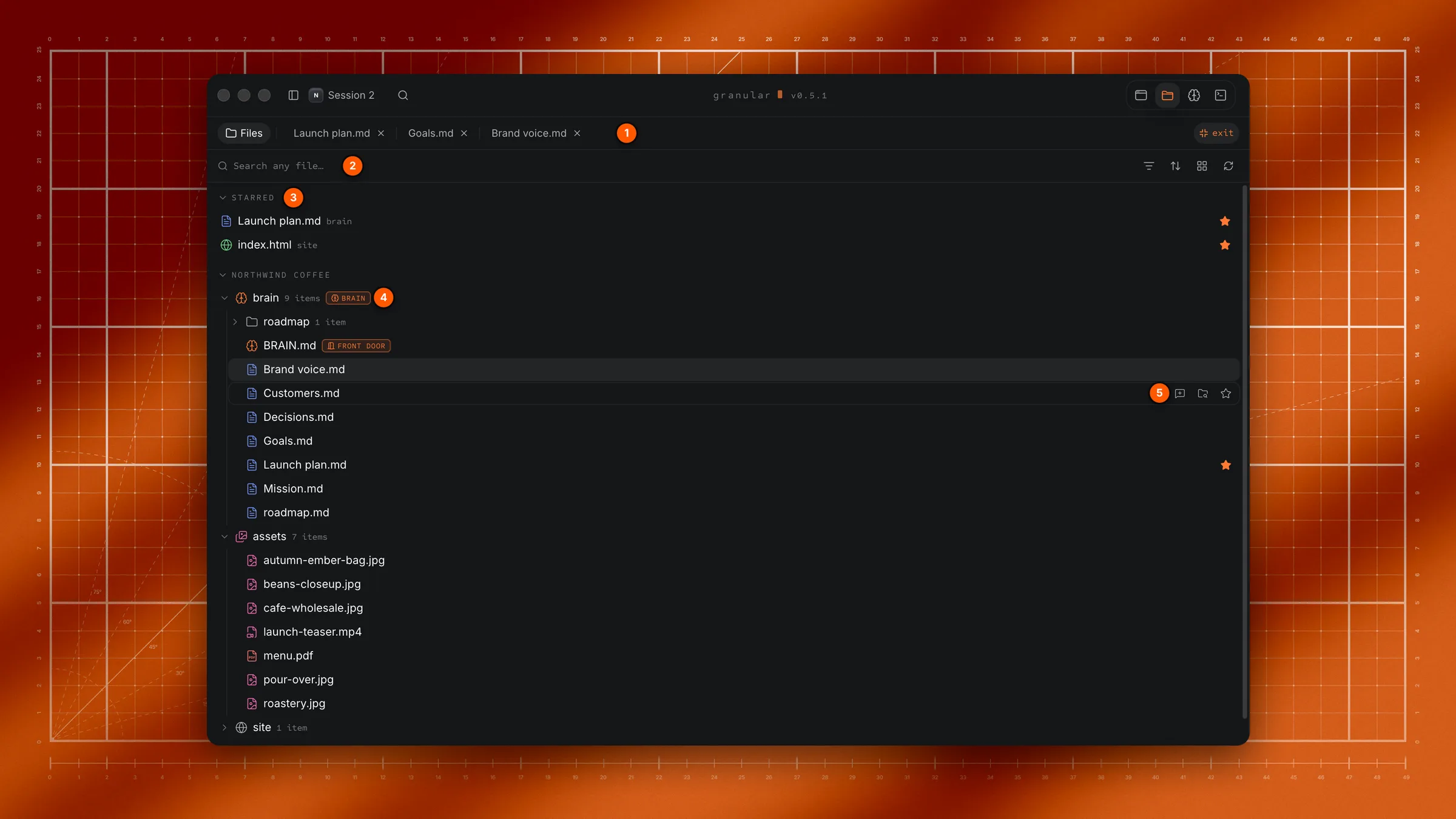 The Files tool in full screen, list view, showing the tab row, the search row, the Starred section, the project's brain folder with its Brain tag.